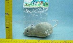 汕头老鼠爆料最新消息